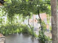 Продава КЪЩА, област Пазарджик, с. Розово • 58800 € • 89153566 — Holmes.bg