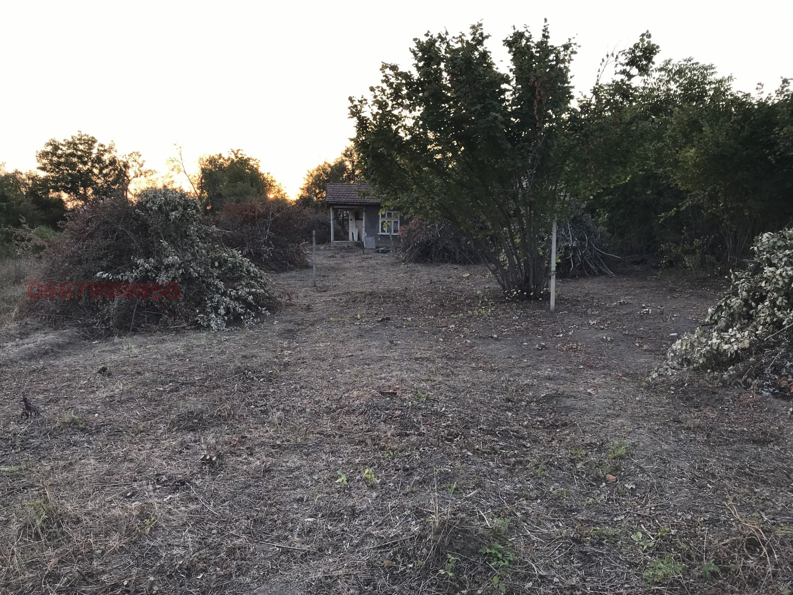 ������� ���� | Imot.bg � ����������� 12