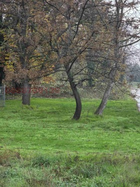 ������� ������ | Imot.bg � ����� ������ 5