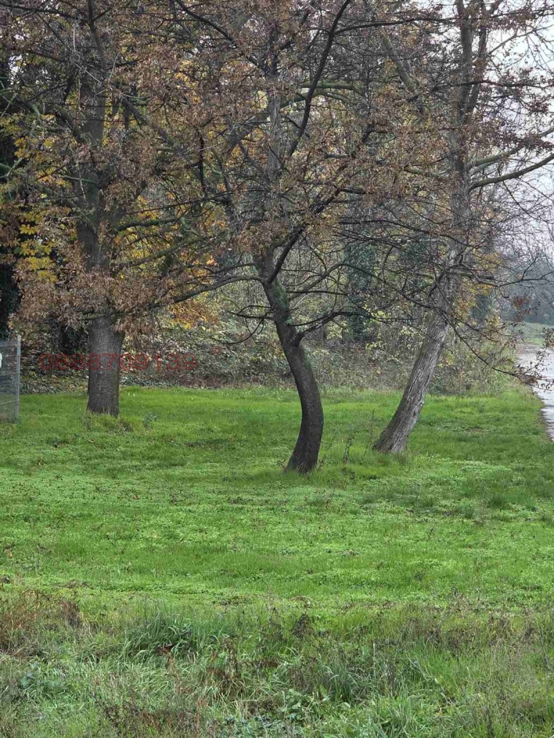 Продава ПАРЦЕЛ, гр. Пловдив, Захарна фабрика, снимка 5 - Парцели - 52785325