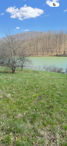 ������ ������� ������