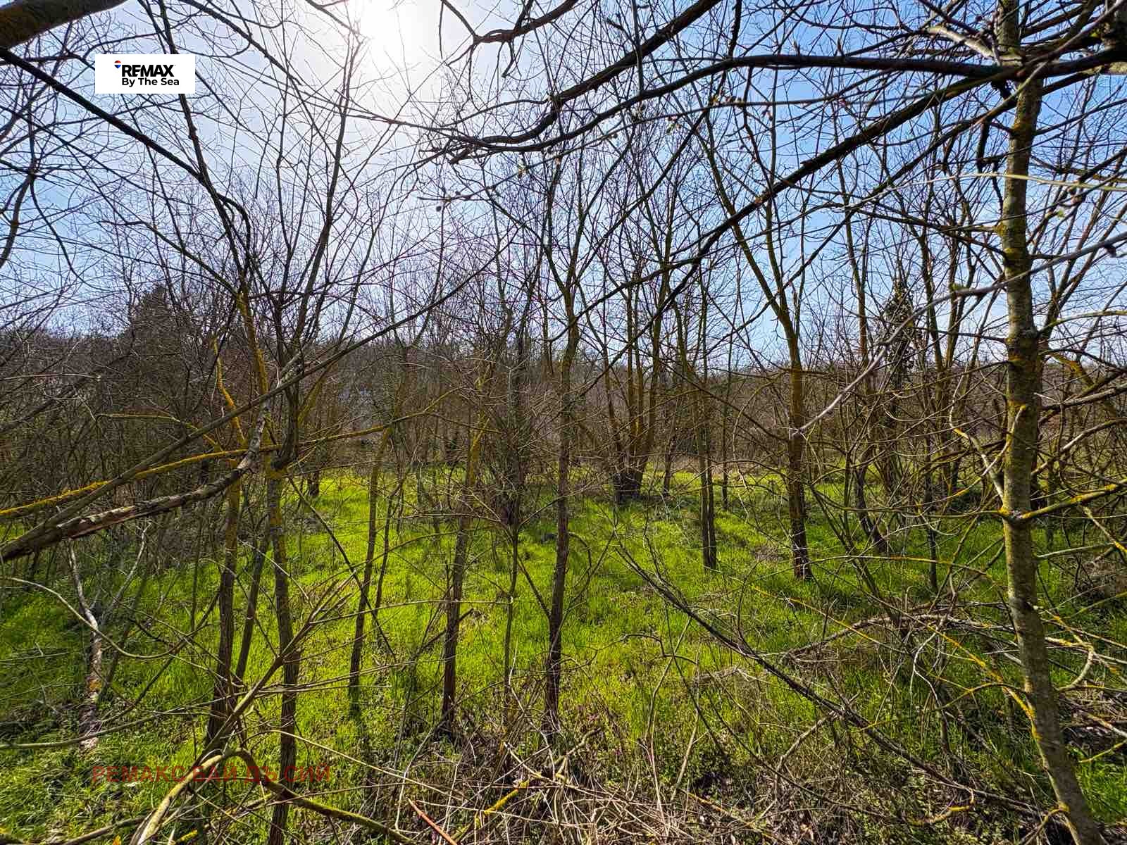 Продава ПАРЦЕЛ, гр. Варна, м-т Орехчето, снимка 3 - Парцели - 53875514