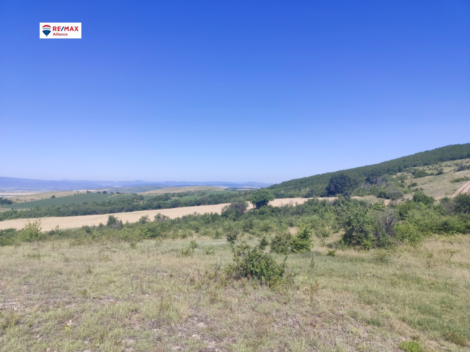 Продава ВИЛНО СЕЛИЩЕ | Imot.bg — изображение 5