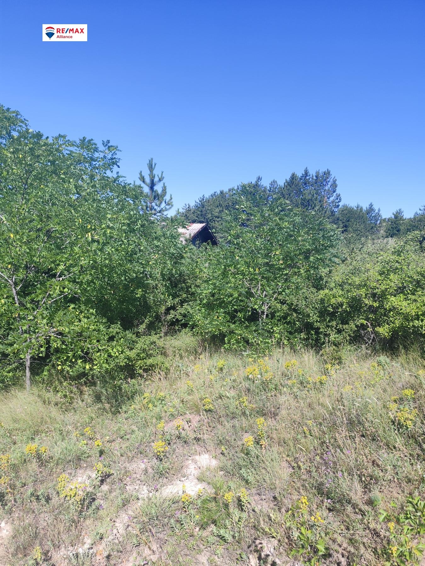 Продава ВИЛНО СЕЛИЩЕ | Imot.bg — изображение 12