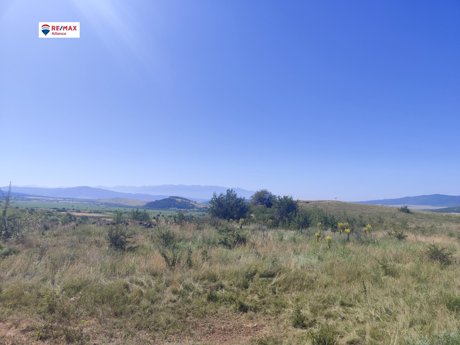 Продава ВИЛНО СЕЛИЩЕ | Imot.bg — изображение 7