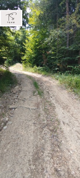 ������� ���� | Imot.bg � ����� ������ 13