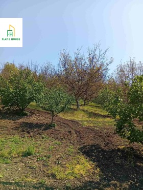 ������� ������ | Imot.bg � ����� ������ 11