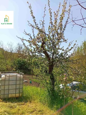 ������� ������ | Imot.bg � ����� ������ 12