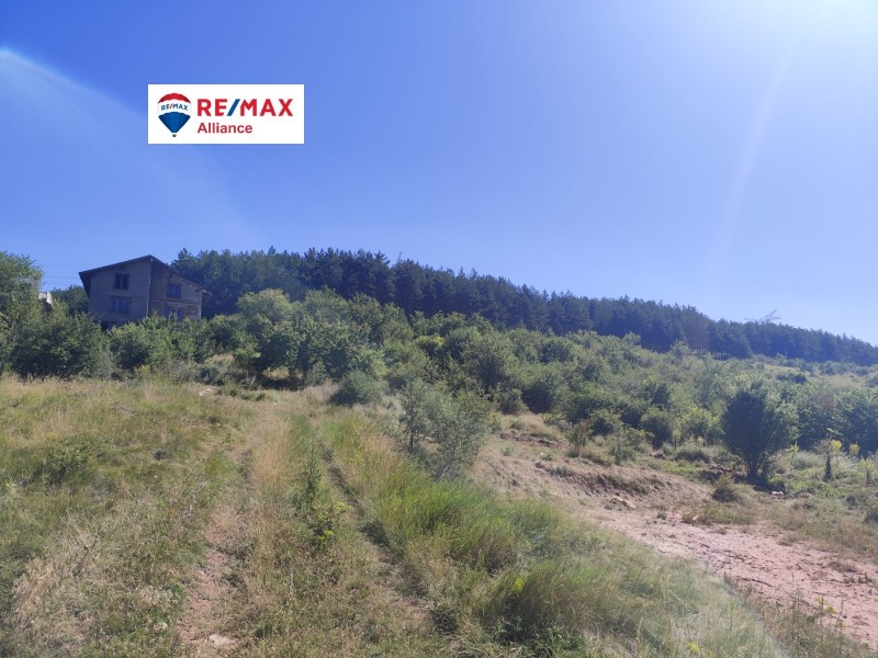 Продава БИЗНЕС ИМОТ, с. Друган, област Перник, снимка 7 - Други - 50985645