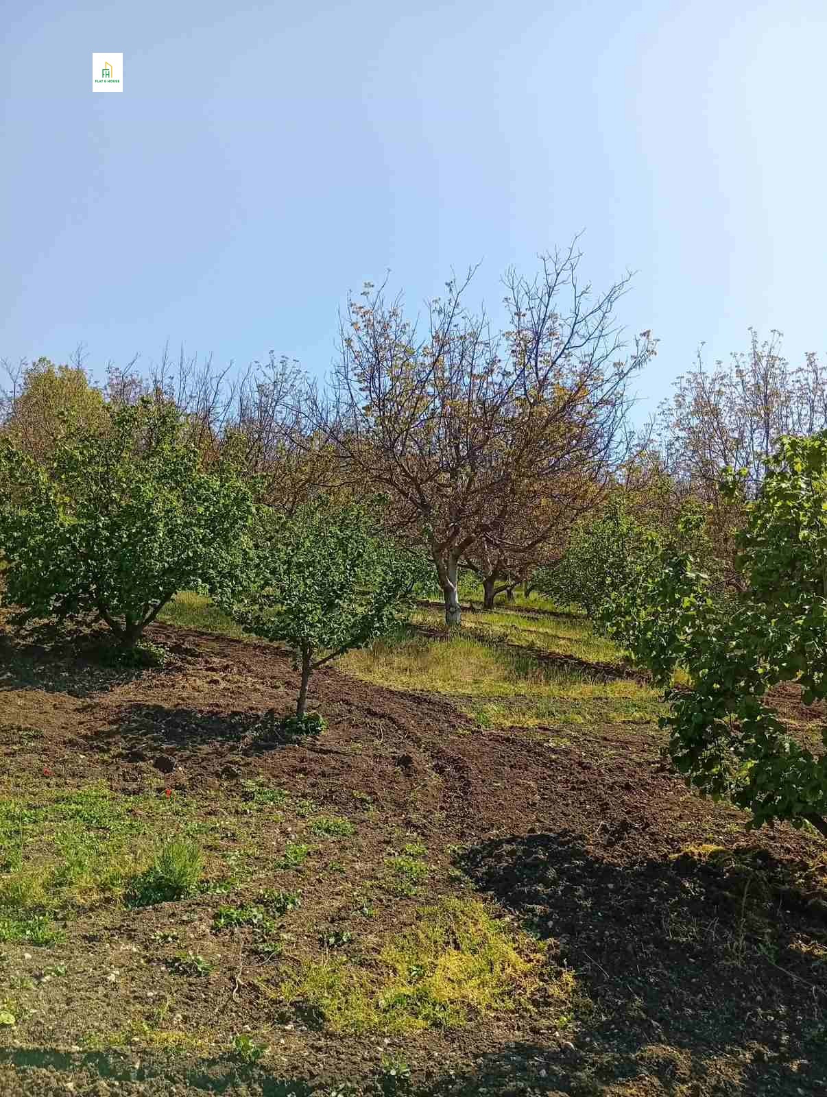 Продава ПАРЦЕЛ, с. Дунавец, област Силистра, снимка 11 - Парцели - 54337940