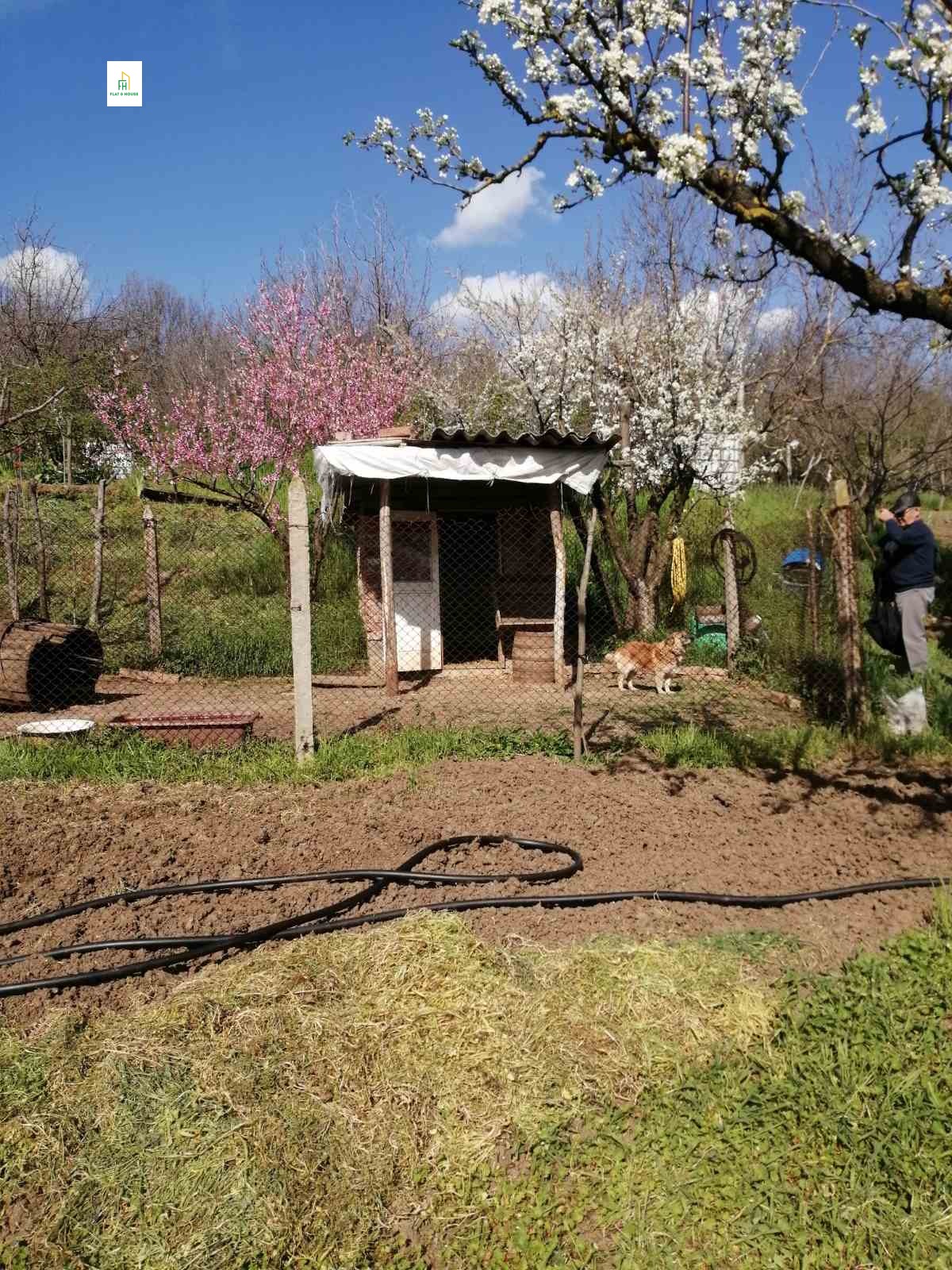 Продава ПАРЦЕЛ, с. Дунавец, област Силистра, снимка 10 - Парцели - 54337940