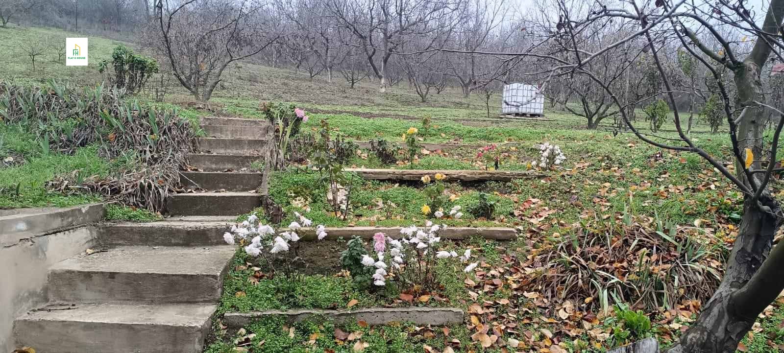 Продава ПАРЦЕЛ, с. Дунавец, област Силистра, снимка 5 - Парцели - 54337940