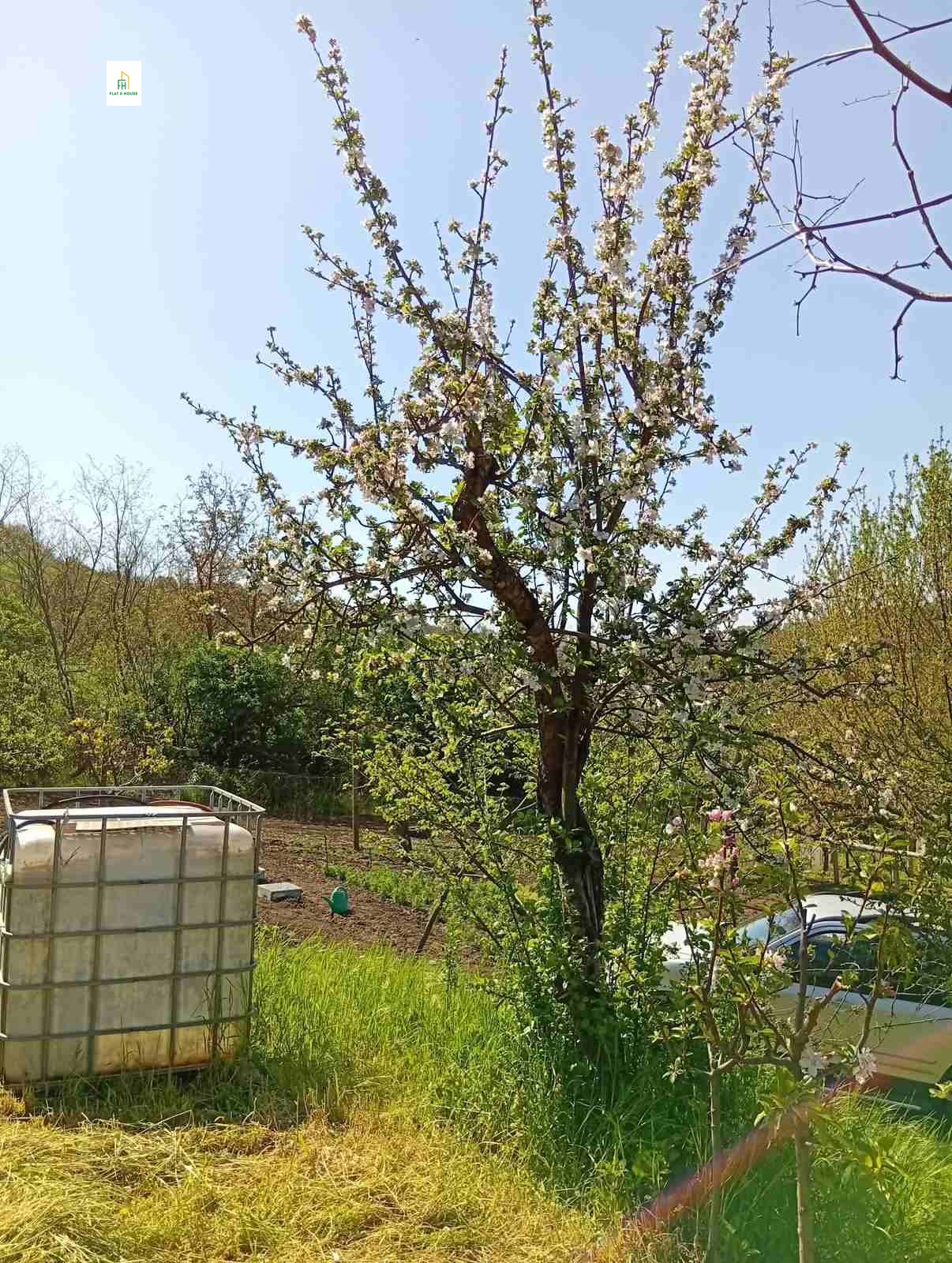 Продава ПАРЦЕЛ, с. Дунавец, област Силистра, снимка 12 - Парцели - 54337940