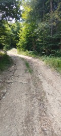 Продава КЪЩА, с. Горни Окол, област София област, снимка 13