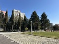 Продава 2-СТАЕН, град Варна, Младост 2 • 149000 € • 35155945 — Holmes.bg