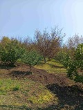 Продава ПАРЦЕЛ, област Силистра, с. Дунавец • 65000 € / 127128.95 лв. • 65964825 11
