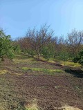 Продава ПАРЦЕЛ, област Силистра, с. Дунавец • 65000 € / 127128.95 лв. • 65964825 1