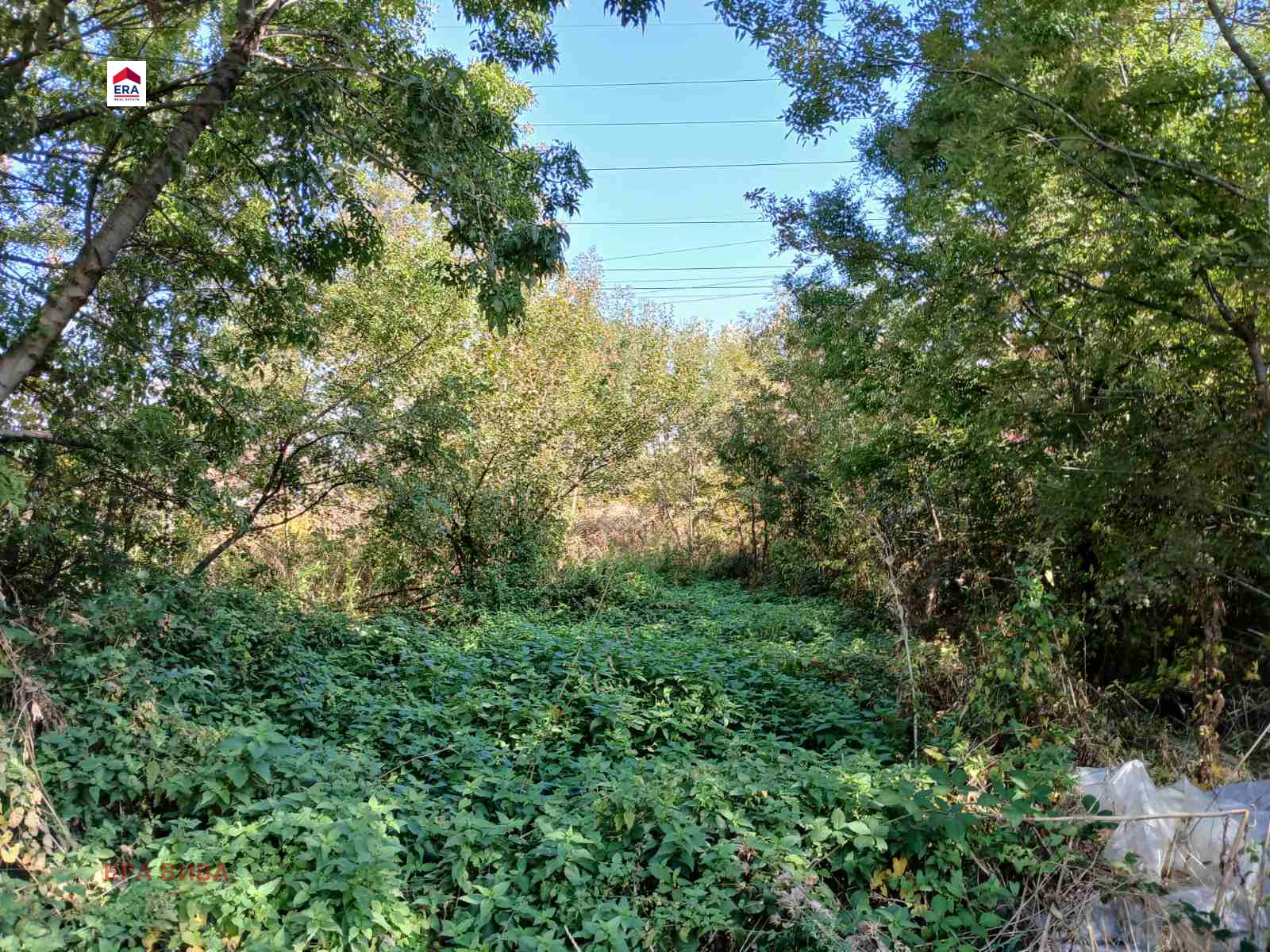 ������� ������ | Imot.bg � ����������� 2