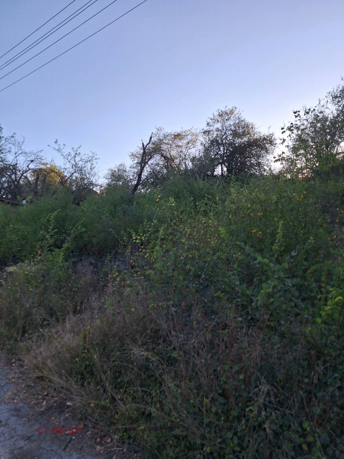 ������� ������ | Imot.bg � ����������� 3