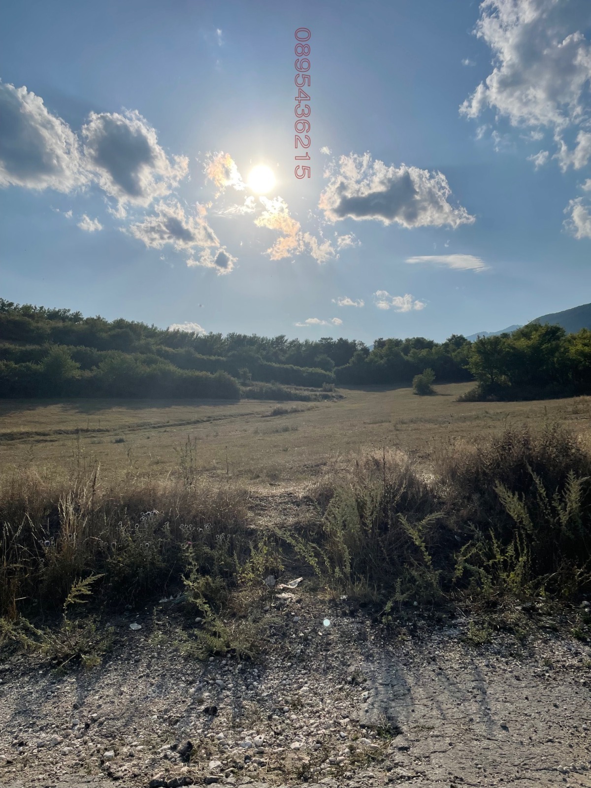 ������� ������ | Imot.bg � ����������� 5