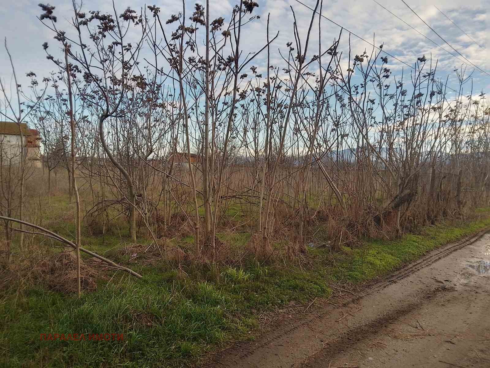 ������� ������ | Imot.bg � ����������� 2