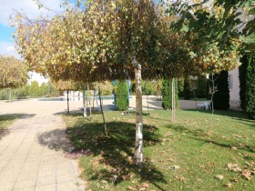 ������� 2-����� | Imot.bg � ����� ������ 16