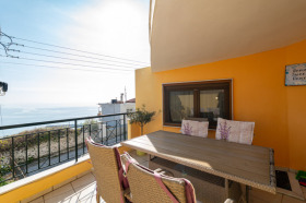 ������ ������� 3-�����