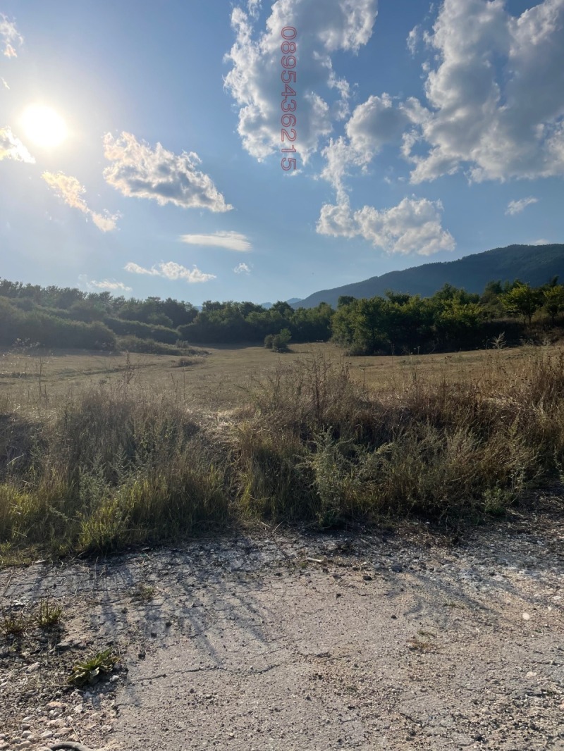 Προς πώληση  Οικόπεδο περιοχή Παζαρτζίκ , Βεληνγραδ , 2179 τ.μ | 46353987 - εικόνα [2]