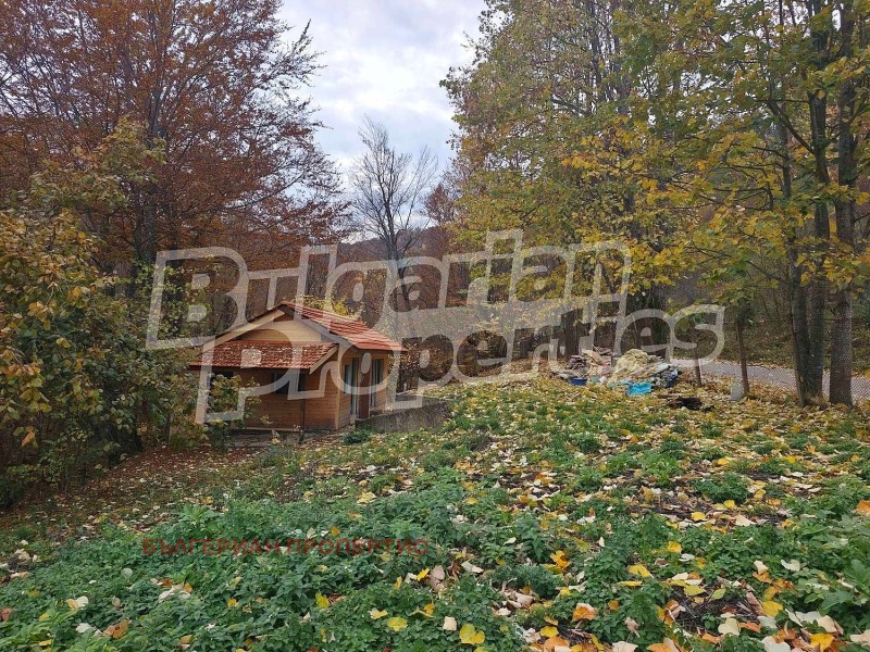 Продава КЪЩА в област Ловеч, с. Чифлик - 30 кв.м / 53 000 € » 103 658.99 лв., БЪЛГЕРИАН ПРОПЕРТИС