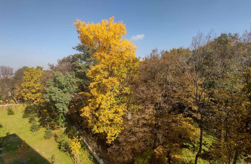 Продава 3-СТАЕН, гр. София, Бояна, снимка 15 - Апартаменти - 52914268