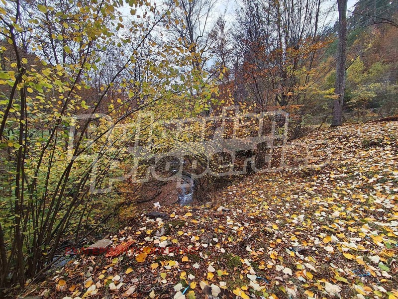 Продава КЪЩА, с. Чифлик, област Ловеч, снимка 16 - Къщи - 52167863