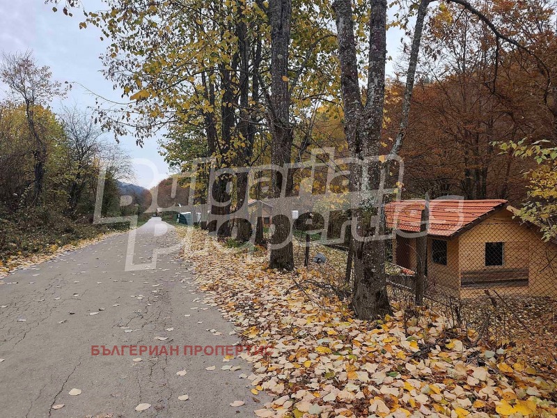 Продава КЪЩА, с. Чифлик, област Ловеч, снимка 4 - Къщи - 52167863