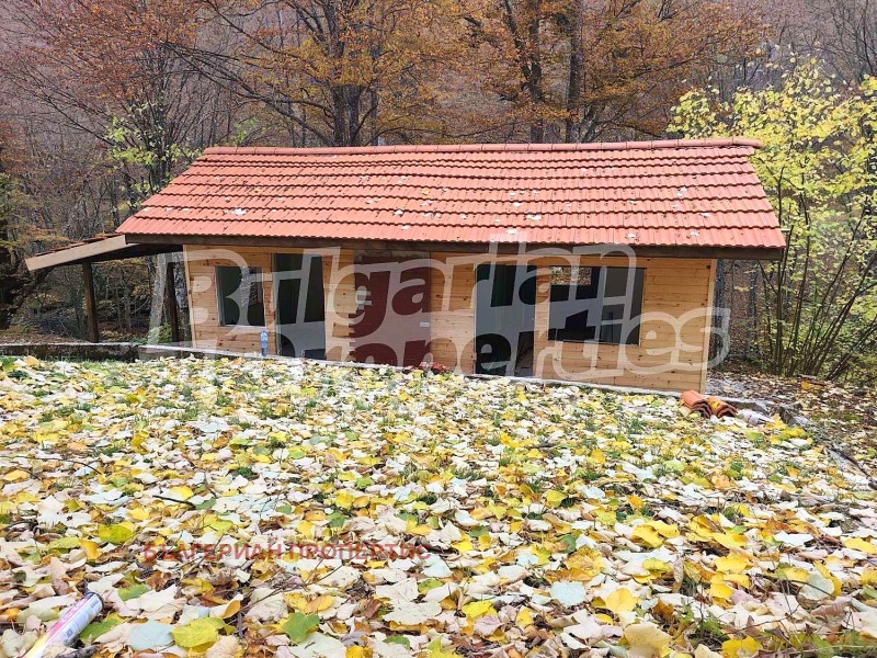 Продава КЪЩА, с. Чифлик, област Ловеч, снимка 3 - Къщи - 52167863