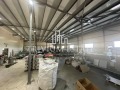Продава ПРОМ. ПОМЕЩЕНИЕ, област Пловдив, с. Марково • 550000 € • 20488548 — Holmes.bg