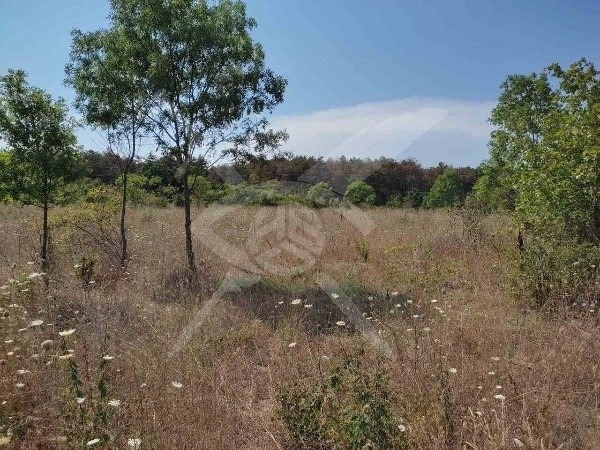 Na prodej  Spiknutí oblast Burgas , Indže vojvoda , 12200 m2 | 35689000