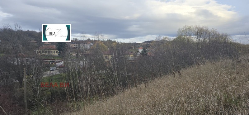 Продава ПАРЦЕЛ, с. Богданов дол, област Перник, снимка 4 - Парцели - 53248359