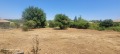 Продава КЪЩА, област Велико Търново, с. Поликраище • 115000 € • 11886603 — Holmes.bg
