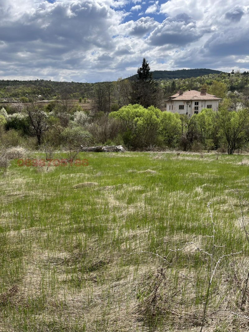 Продава ПАРЦЕЛ, с. Мърводол, област Кюстендил, снимка 3 - Парцели - 52783557