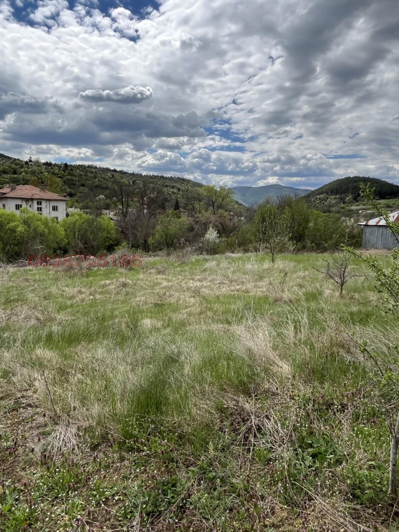 Продава ПАРЦЕЛ, с. Мърводол, област Кюстендил, снимка 6 - Парцели - 52783557