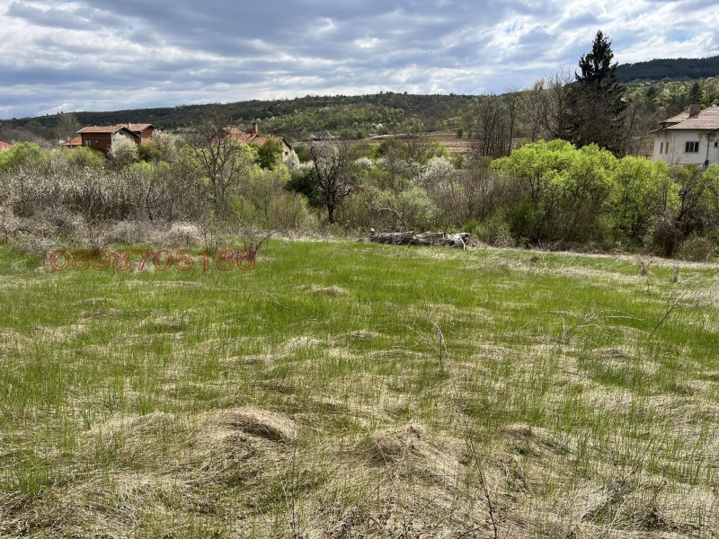 Продава ПАРЦЕЛ, с. Мърводол, област Кюстендил, снимка 4 - Парцели - 52783557