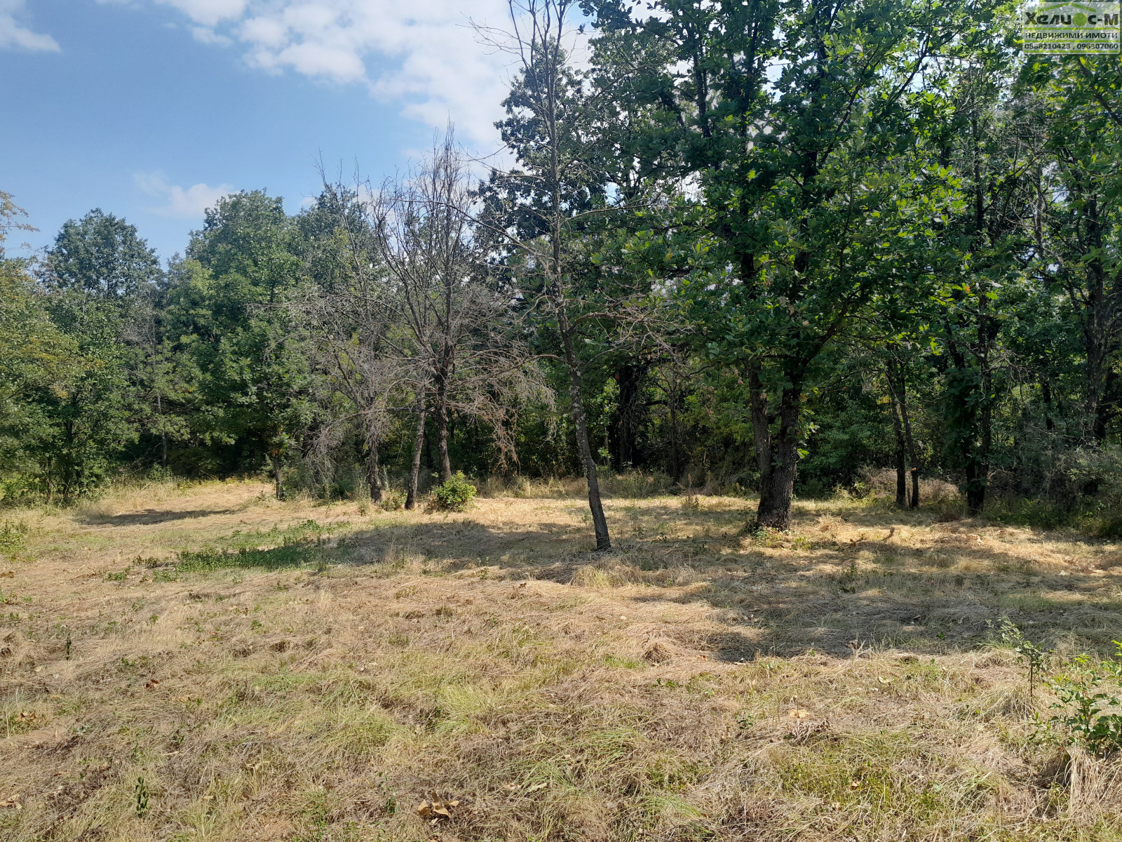 Продава ПАРЦЕЛ, гр. Монтана, в.з. Запад, снимка 4 - Парцели - 55574925