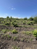 Продава ПАРЦЕЛ, област Бургас, с. Каменар • 22000 € • 37577871 — Holmes.bg