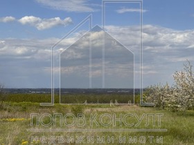 ����� ������� ������,�. ��������, ������ �������