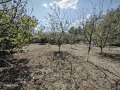 Продава ПАРЦЕЛ, с. Янково, област Шумен, снимка 2