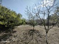 Продава ПАРЦЕЛ, област Шумен, с. Янково • 22000 лв. • 82451193 — Holmes.bg