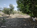 Продава ПАРЦЕЛ, област Шумен, с. Янково • 22000 лв. • 82451193 — Holmes.bg