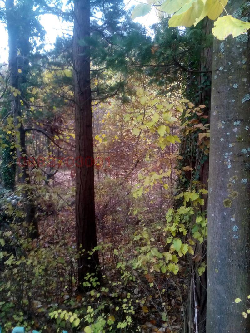 Продава ПАРЦЕЛ, гр. Долна баня, област София област, снимка 3 - Парцели - 52954290