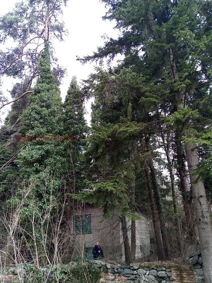 Продава ПАРЦЕЛ, гр. Долна баня, област София област, снимка 9 - Парцели - 52954290