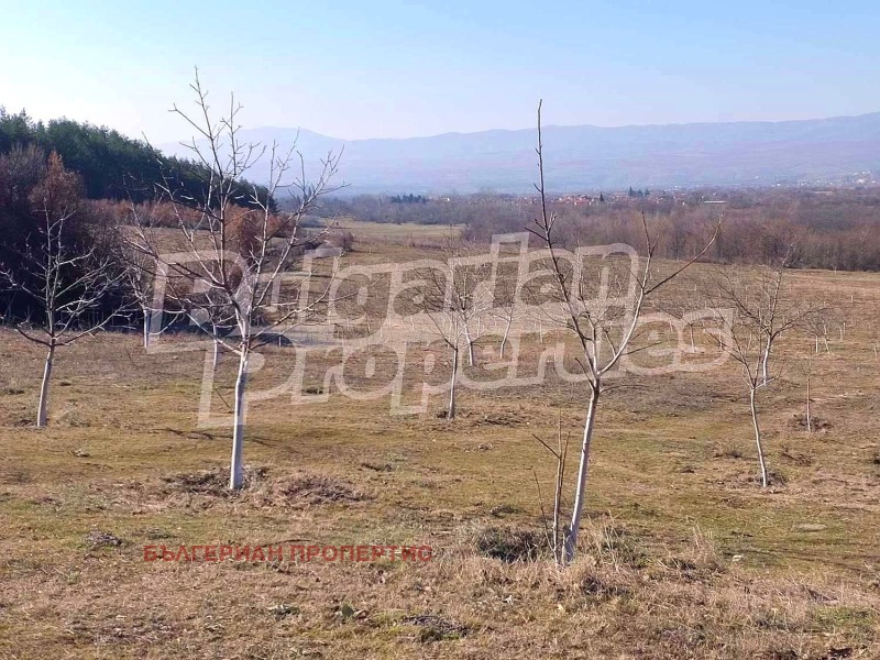 Продаја  Земљиште регион Ћустендил , Рила , 100 дка | 12298068 - слика [15]