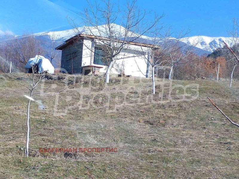 Продаја  Земљиште регион Ћустендил , Рила , 100 дка | 12298068 - слика [11]